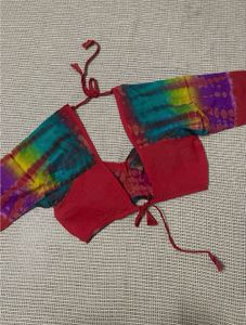 Rajpooti Poshak/ Dress