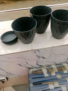 Flower Pots