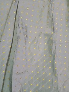Silver Ethnic Lehenga Choli