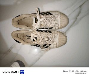 Sparx White Sneaker