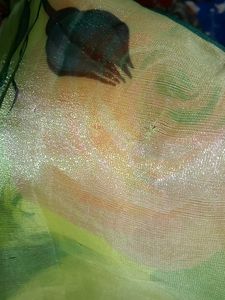 Pure Organza Saree