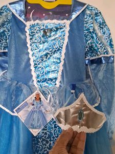 Elsa Princess Dress