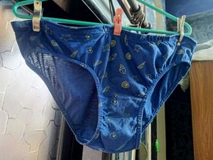 Shells Panty