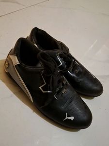 Puma Shoes (Man)