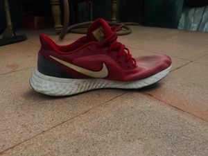 Nike Revolution Running Shoes