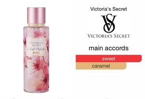 VS velvet Petal ( Cashmere)