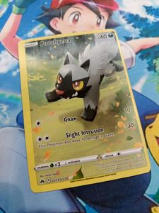 Poochyena Pokemon Card