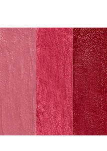 Renee Tint