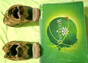 Woodland Shoes For Men&#39;s