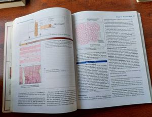 Human Histology Textbook - 8th Edition