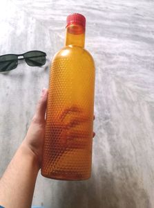 Water Bottle ✨