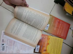 Ajay Pandey Novels Combo