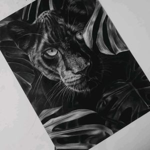Handmade Drawing  Of Wildlife Leapord.
