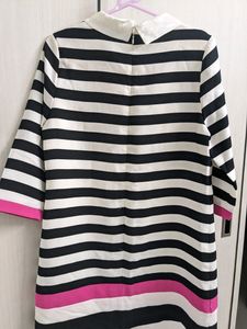 Knee Length Dress