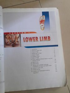 Anatomy Bdc LL &amp;abd And Pelvis