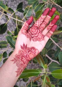 Organic Mehendi