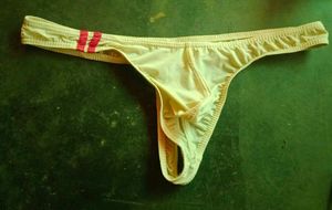 Genius Kid Ice Silk Sexy Bikini Swimwear