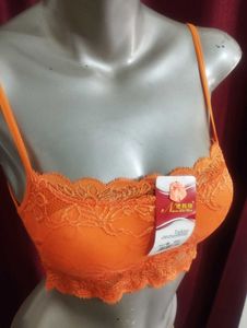 032 - Lace Net Bra Party Wear