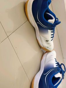 Badminton Shoes