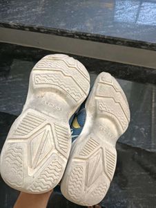 Campus Shooes