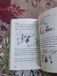 diary of a wimpy kid aa novel in cartoon