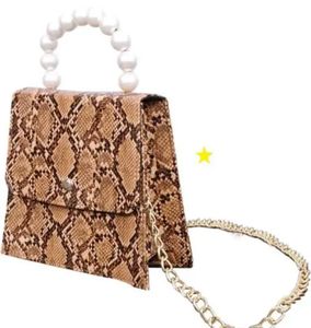 Snakeskin Clutch