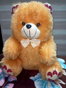 Cute Teddy Bear
