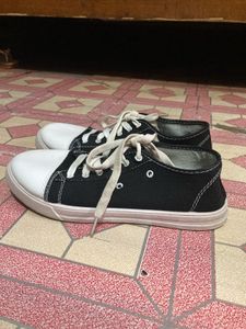 Converse Sneakers