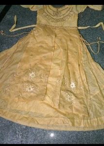 Elegant Beige Embroidered Dress Each