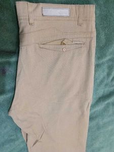 Trending Cotton Blend Pant