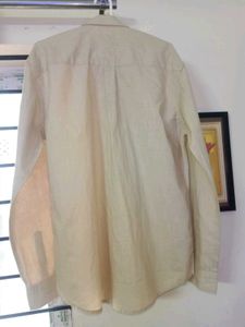BRAND NEW LACOSTE BEIGE COTTON SHIRT