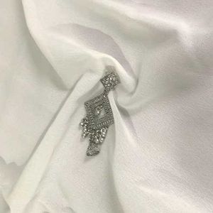 Exquisite Silver Earrings