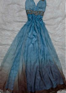 Elegant Blue Evening Gown