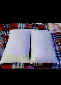 Pack Of 5 Pillow