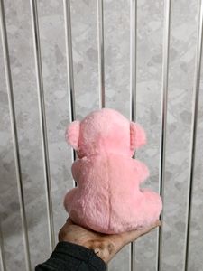 Pink Teddy