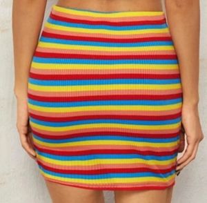 Multicolour Cute Skirt