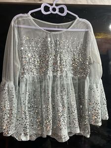 Silver Sequin Embellished Top