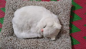Sleeping Cat Plush Toy with Press Simulation Sound