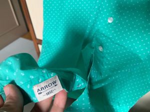Arrow Sport Sea Green Pure Cotton Casual Shirt