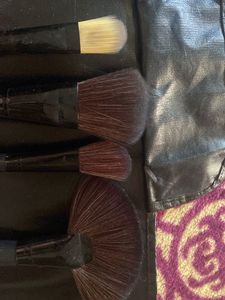 Professional Brush Kit