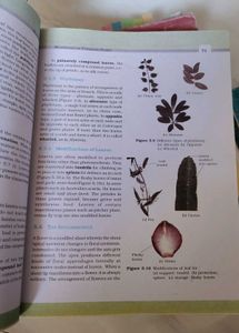 Biology Book Class 11