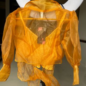 Orange Orgenza Mesh Top With That Inner