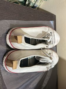 White Canvas Shoe