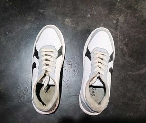 Men's 🚹 Shoe 👟 👞