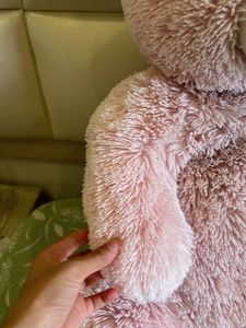 Teddy Bear (2 Feet) Ht