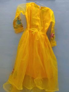 Yellow Embroidered Net Dress