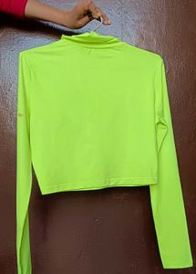 Parrot 🦜 💚 Green Shein Top With Full Sleeve Neck