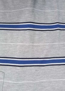 Striped Polo Shirt