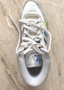 Adidas High-Top Sneakers