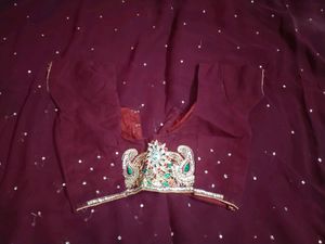 Sequence Work Saree